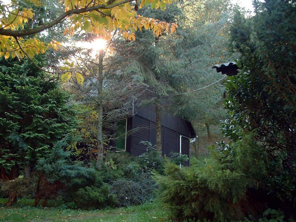 Vadregeny Panzio Bed and Breakfast Esztergom Habitación foto
